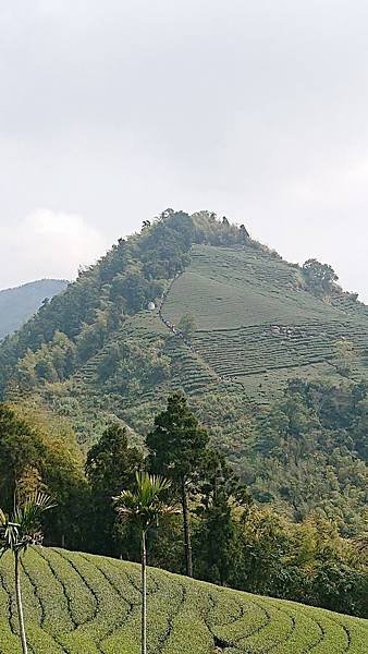 雲嘉7連峰_200209_0065.jpg
