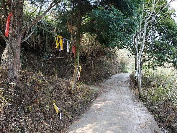 獵人古道_200322_0114.jpg