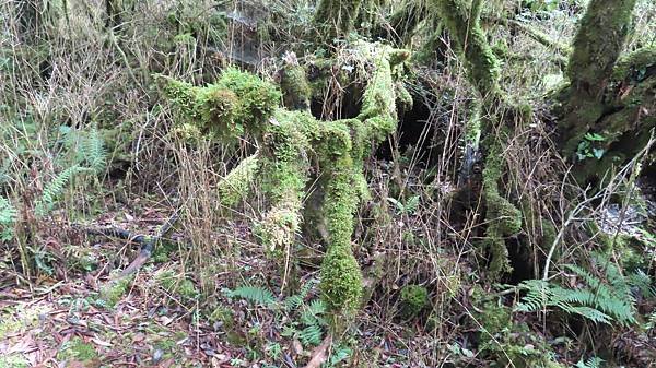 Image00204b.jpg