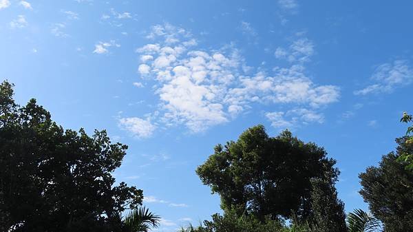 Image00071b.jpg