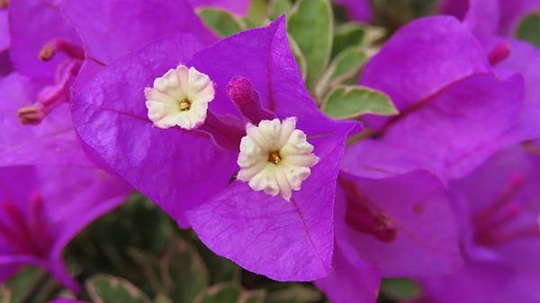 Image00017b.jpg