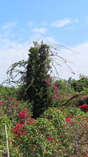 Image00039b.jpg