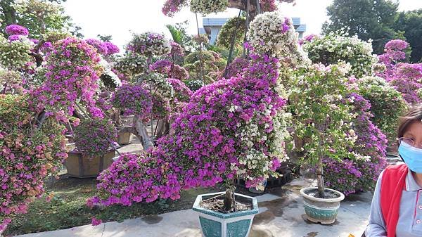 Image00002b.jpg