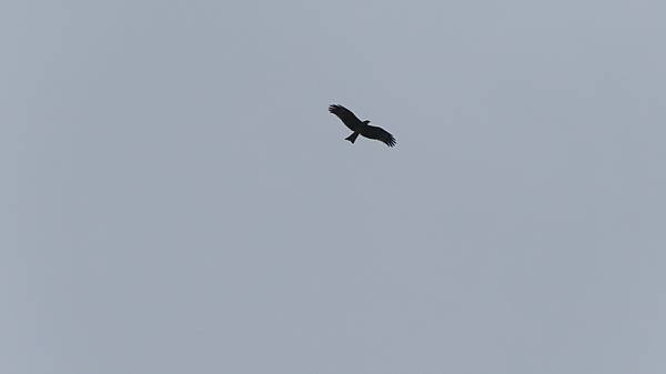 IMG_1267.JPG