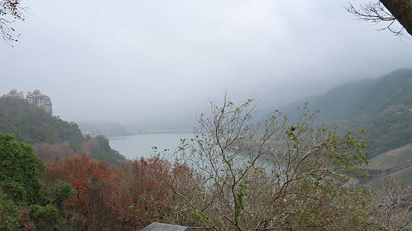 IMG_1242.JPG