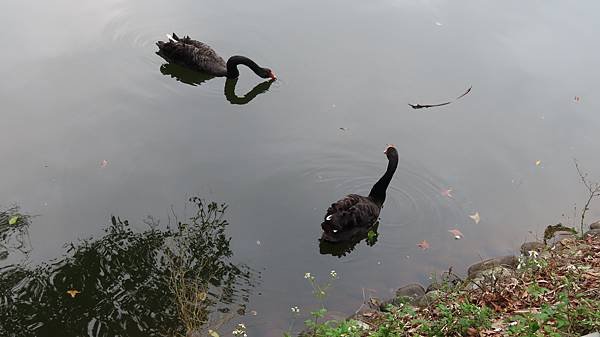 IMG_1352.JPG