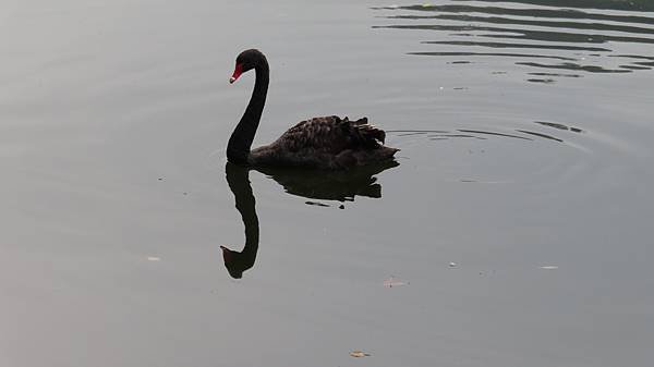 IMG_1343.JPG