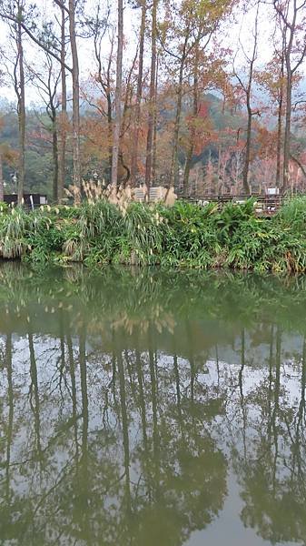 IMG_1312.JPG