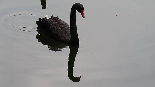 IMG_1346.JPG