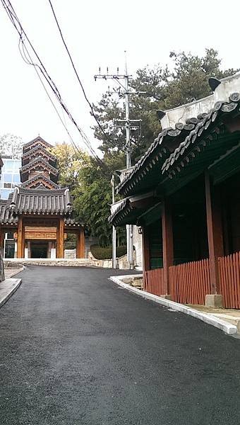 IMAG3410.jpg