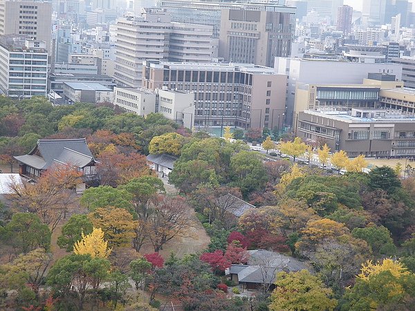 IMGP2989.JPG