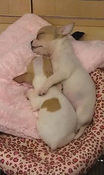 IMAG0468.jpg