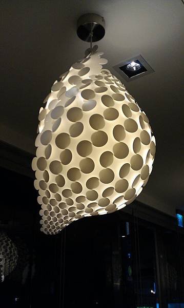 IMAG0474.jpg