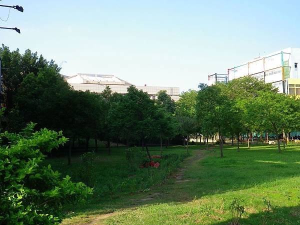 IMGP1785