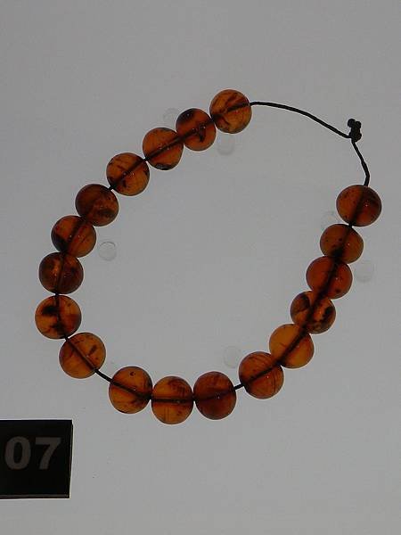 IMGP0693