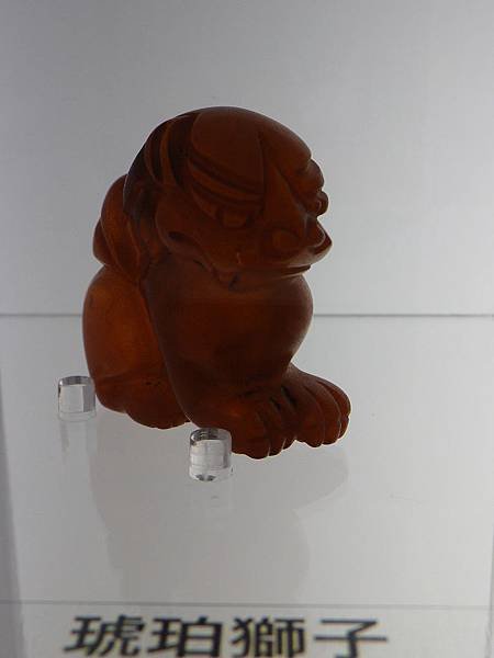 IMGP0704