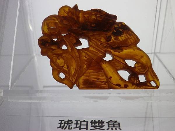 IMGP0730
