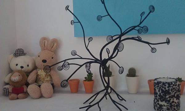 IMAG0494