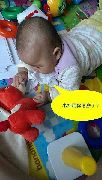 20131220-7.jpg