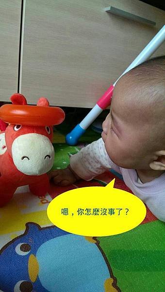 20131220-10.jpg