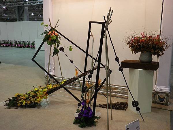 IMGP7063.JPG