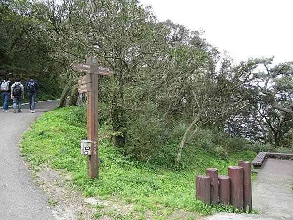 IMG_0007.JPG