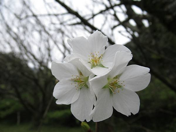 IMG_0041.JPG