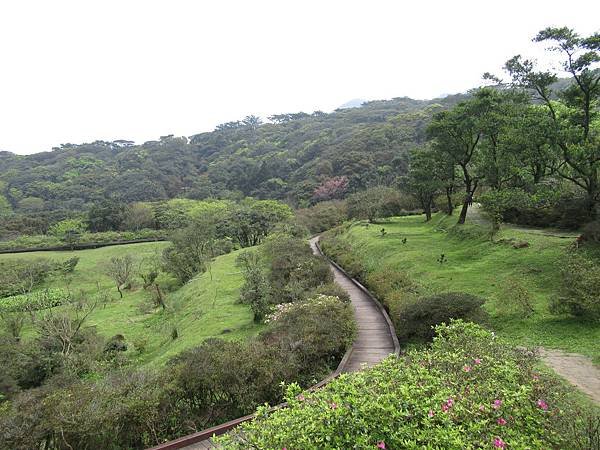 IMG_0083.JPG