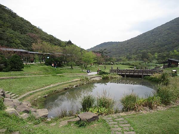 IMG_0172.JPG
