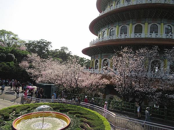 IMG_0828.JPG