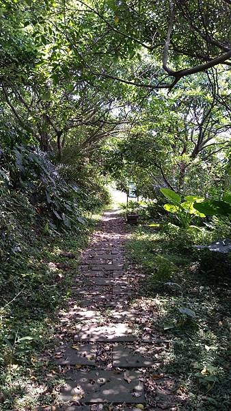 1041 (1).jpg