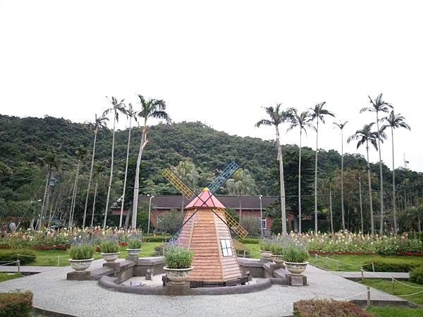 IMAG9526.jpg