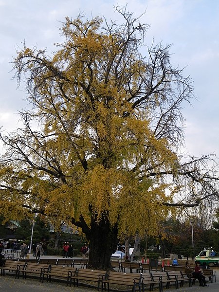 IMGP3014.JPG