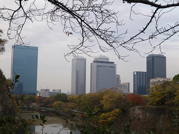 IMGP3015.JPG