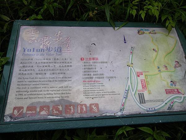 IMGP6539.JPG