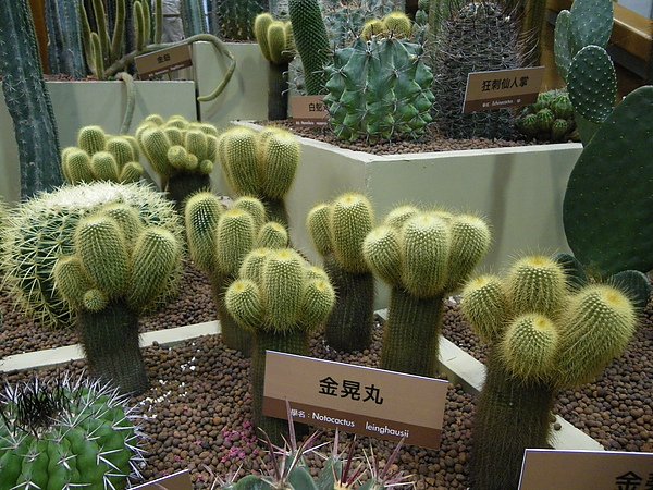 IMGP1212.JPG