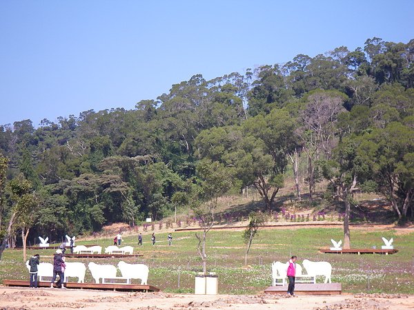 IMGP4010.JPG