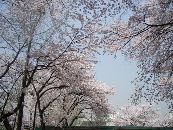 IMGP1620.JPG
