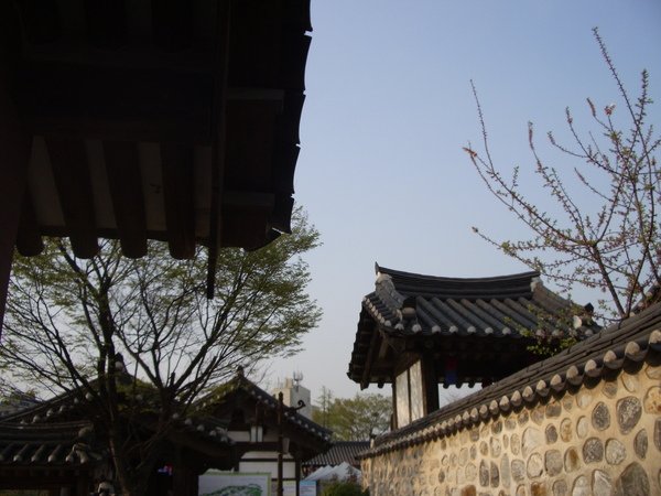 IMGP1647.JPG