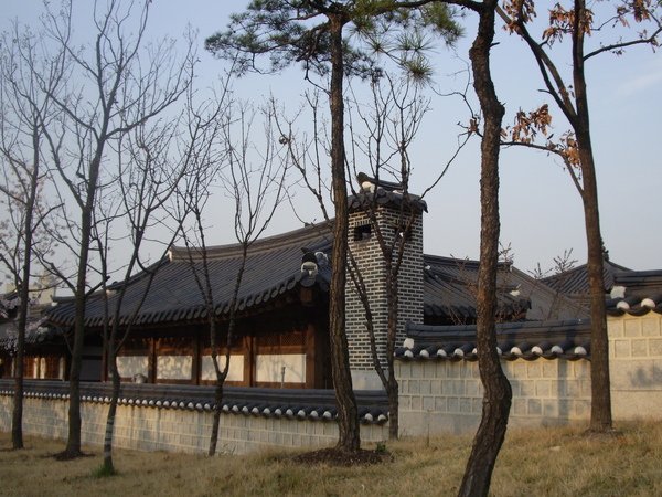 IMGP1660.JPG