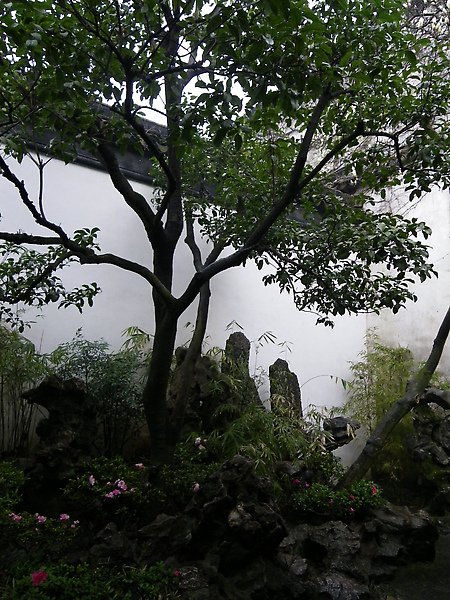 IMGP2821.JPG