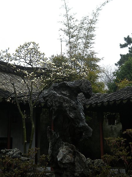 IMGP2874.JPG