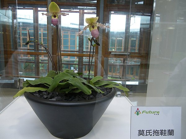 IMGP1310.JPG