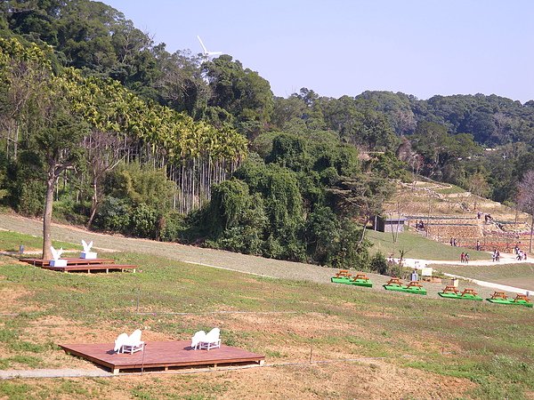 IMGP4175.JPG