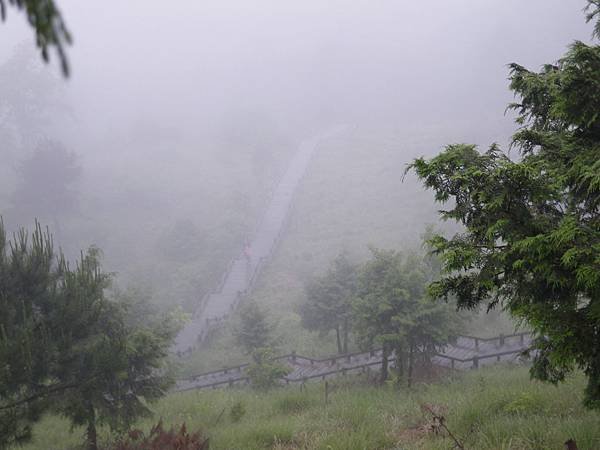 IMGP6565.JPG