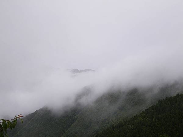 IMGP6509.JPG