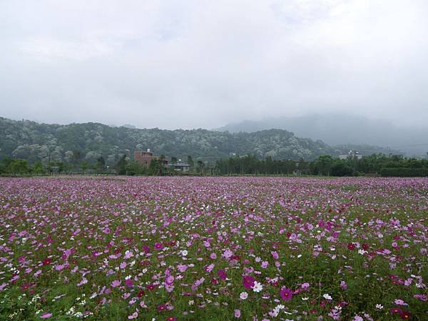 IMGP6099.JPG
