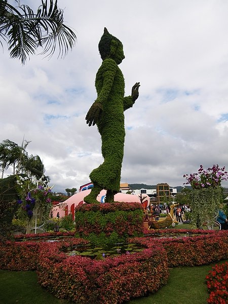 IMGP1780.JPG