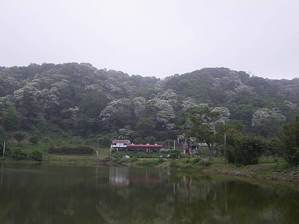 IMGP6170.JPG