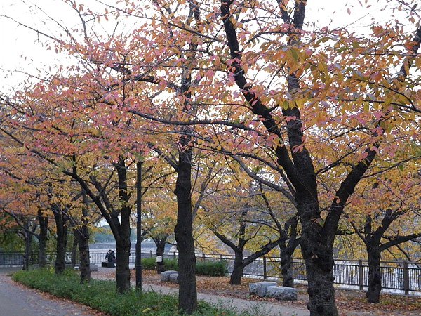IMGP3018.JPG